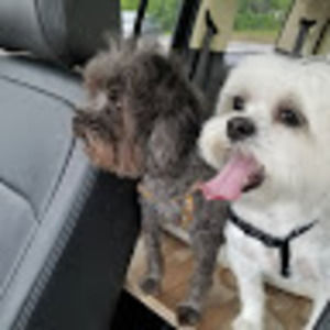 Meet your Posher, James